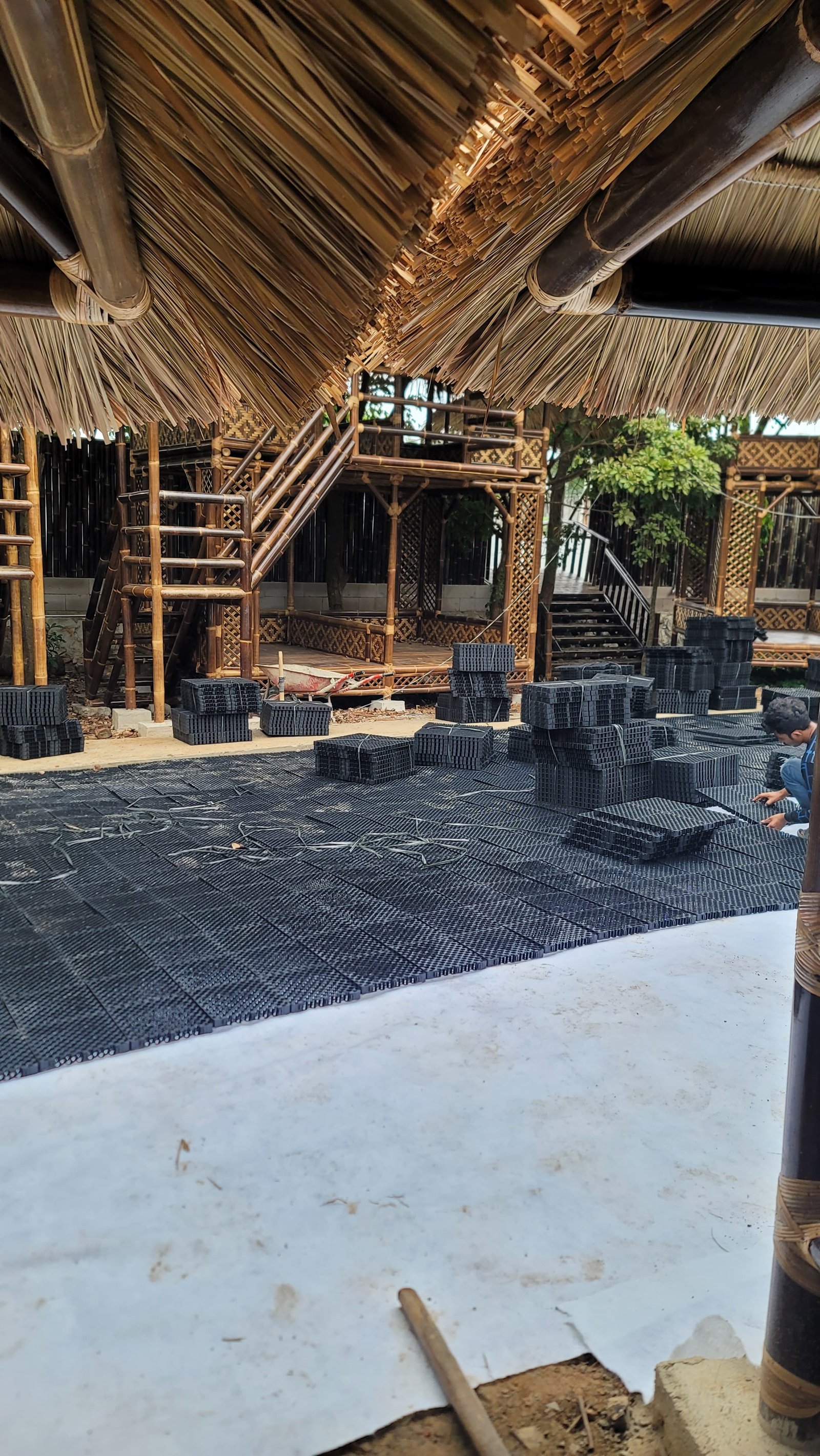 IMG_7865.JPG