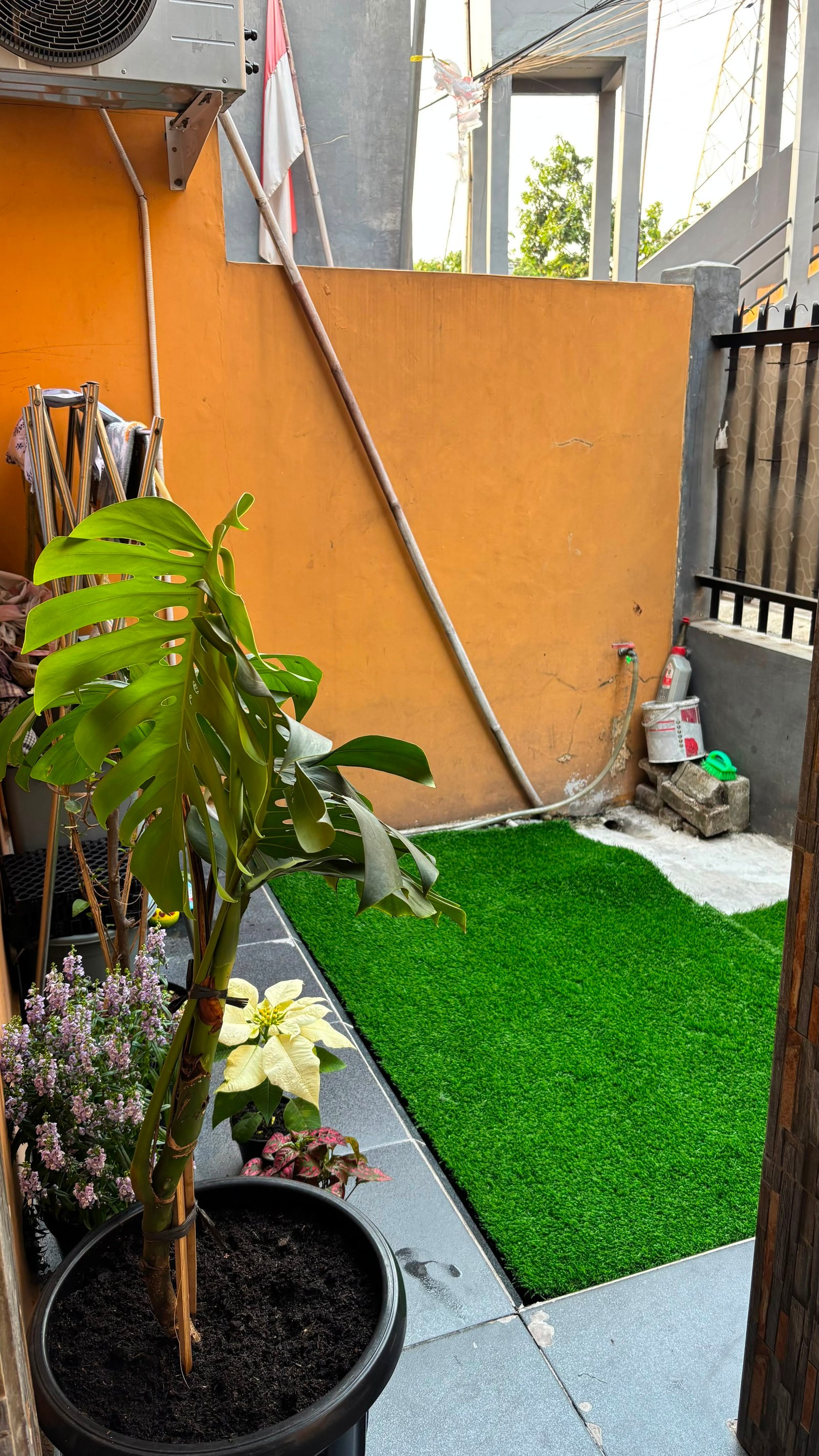 IMG_7840.JPG
